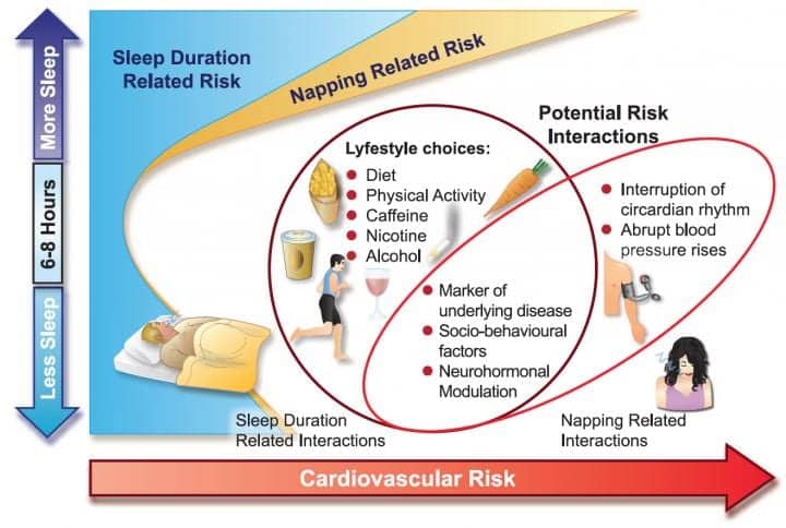 Too Much, Too Little Sleep Linked to Increased Cardiovascular Disease Risk