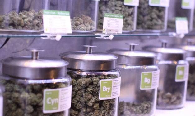 Could Medical Marijuana Help Grandma and Grandpa with Their Sleep Ailments?