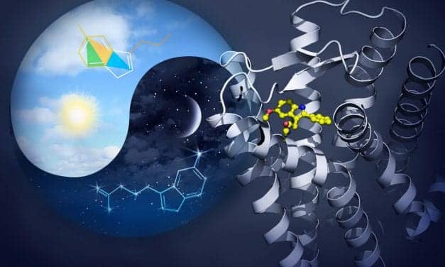 Researchers Create Maps of Two Melatonin Receptors