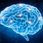 Researchers Take Aim at Circadian Clock in Deadly Brain Cancer