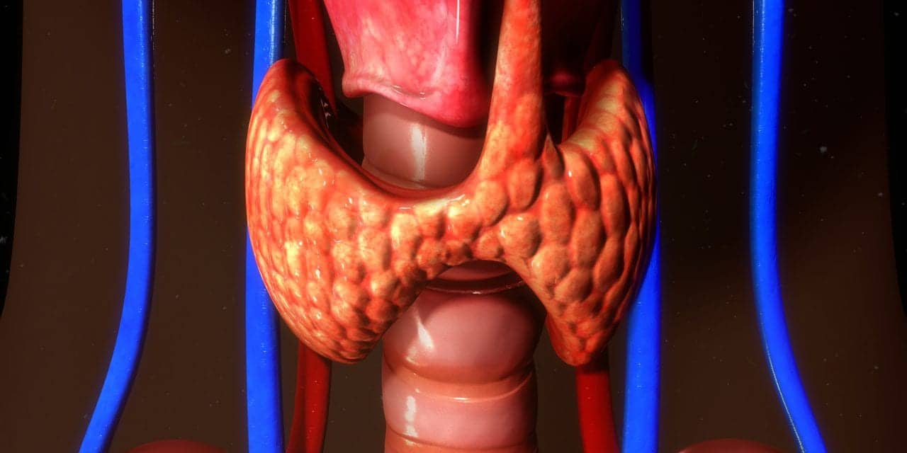 Study: What is the Connection Between Hypothyroidism and Sleep Apnea?