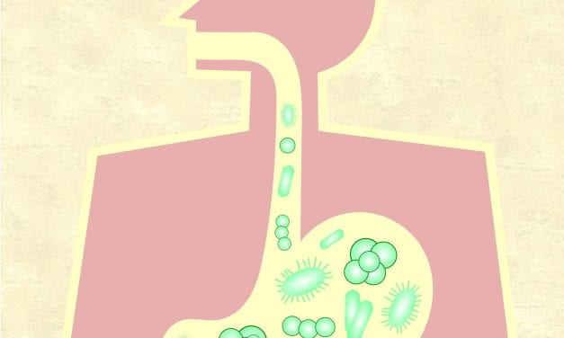Your Gut Microbiome and Quality Sleep Are Interconnected