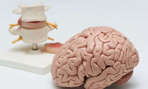Brain’s Cerebrospinal Fluid Pulses During Sleep