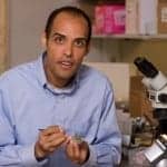 Researchers Get NIH Grant to Study the Role of Sleep in Reorganizing Information in the Brain