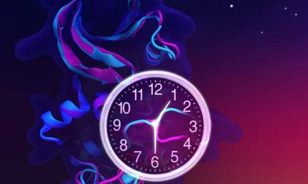 Sleep Phase Disorders and Biological Clock Proteins: Molecular Switch Mechanism Explains How Mutations Shorten Clocks