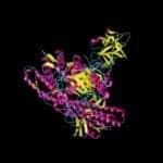 An Investigational Tetanus Toxin-Based Sleep-Disordered Breathing Therapy Is In the Works