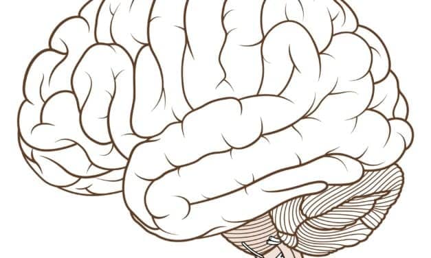 Poor Sleep Could Be Core Feature of Autism