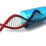 Gene Therapy Improves OSA in Mice