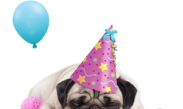 Does Having a Social Life Mean You Won’t Get Enough Sleep?