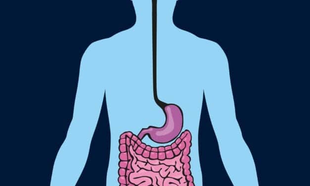 A Fecal Transplant Gave Healthy Mice Sleep Disturbances. Could Gut Microbiome Manipulation Treat Sleep Apnea?