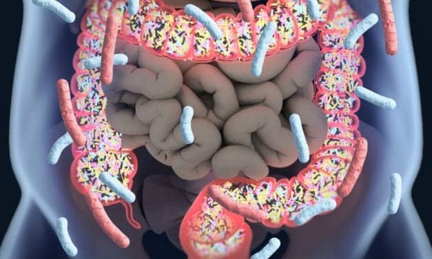 Poor Sleep, High Blood Pressure, & Gut Microbiome: ‘Dysfunctional Sleep Impairs the Body for a Sustained Period’
