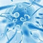Sperm Quality Linked to Light-Emitting Media Use at Night