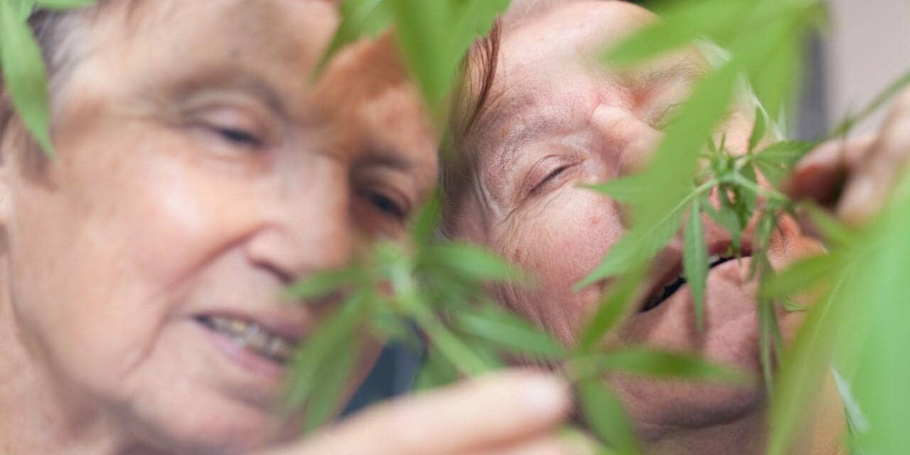 Older Adults Using Cannabis to Treat Insomnia