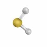 A Hydrogen Sulfide Discovery in Rats Could Lead to New Treatments for Central Sleep Apnea