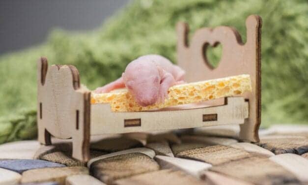 Cellular Energy Metabolite Decreases During Non-REM Sleep & Profoundly Decreases During REM, Finds Mouse Study