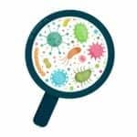 How Micriobiome Manipulation Impacts Sleep: A Study on Mice Adds to a Growing Body of Research