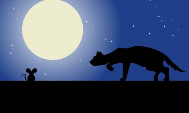 How Stress & the Circadian Clock Affect Sleep