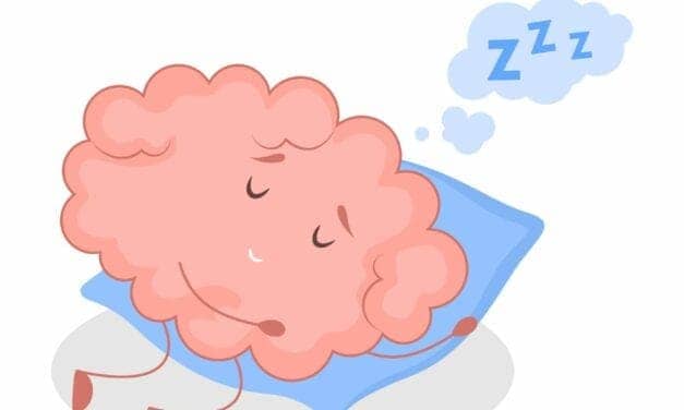 How the Fruit Fly Brain Senses the Need for Sleep