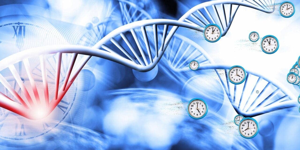 Sleep Disorder Linked with Shift Work May Affect Gene Function