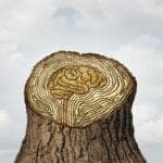 ‘Brain Age’ Can Be Predicted from EEG Data Gathered During Sleep Studies