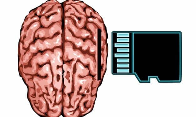 How the Brain Strengthens Memories During Sleep