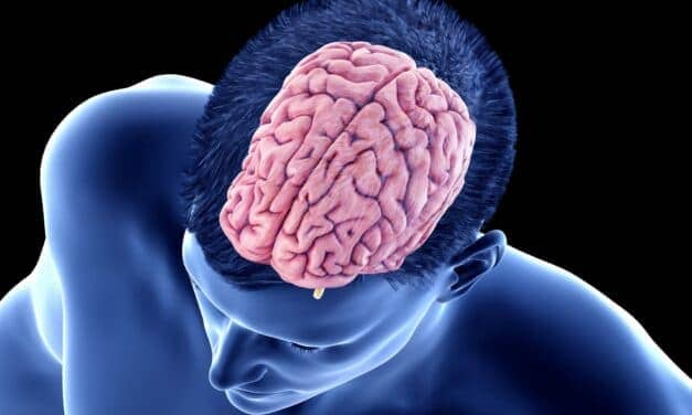 Brain Cortex May Regulate Need for Sleep
