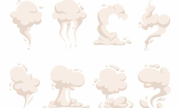 Fruit Flies React to Smells While Asleep