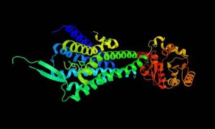 New Collaboration Aims to Discover Novel Orexin Receptor Agonists for Narcolepsy & Other Sleep Disorders