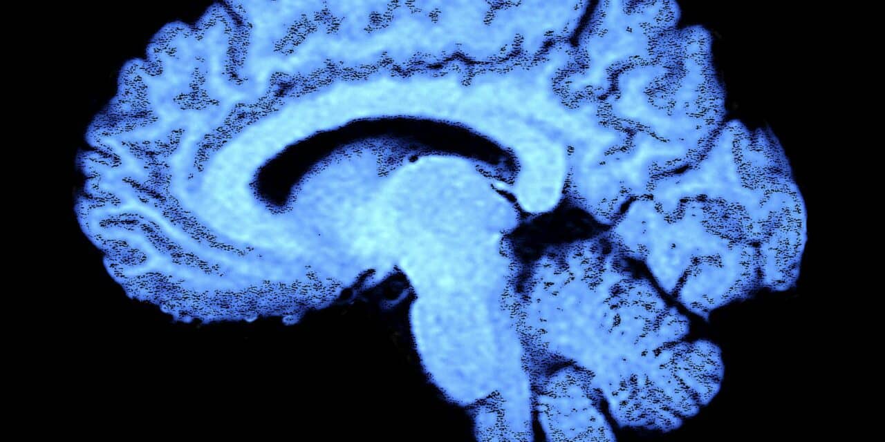 The Brain Pays Attention to Unfamiliar Voices During Sleep