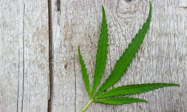 Is Cannabis An Effective Sleep Remedy?