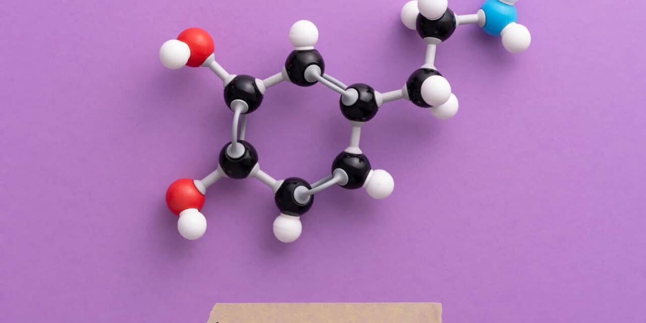 How Dopamine Triggers Sleep State Transitions
