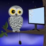 Losing Sleep Over the Pandemic? Work Flexibility May Be a Boon for Night Owls’ Health