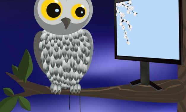Losing Sleep Over the Pandemic? Work Flexibility May Be a Boon for Night Owls’ Health