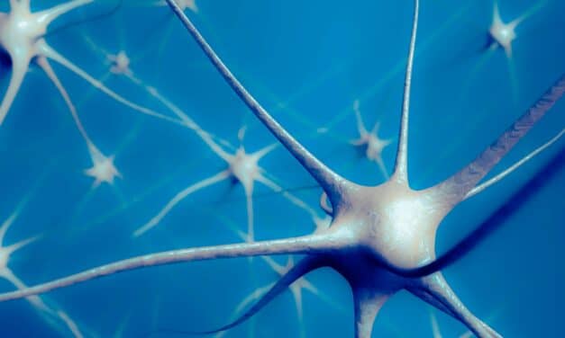 Sleep and Aging: How Wakefulness Neurons Change With Age