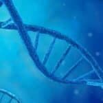 Gene Mutations Lead to Newly Described Sleep Apnea Condition