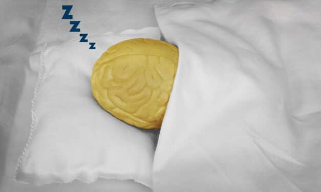 How the Sleeping Brain Controls Blood Flow