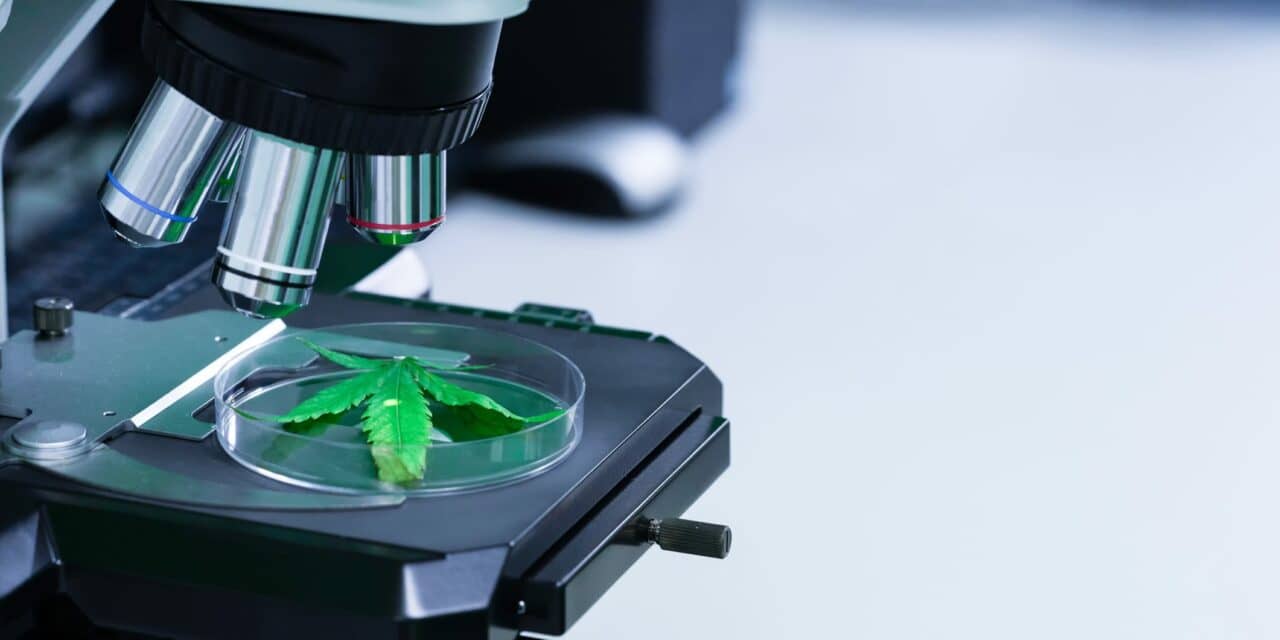 Incannex Taps Fortrea to Manage Phase 2/3 Trial for Sleep Apnea Drug Candidate