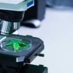 Incannex Taps Fortrea to Manage Phase 2/3 Trial for Sleep Apnea Drug Candidate