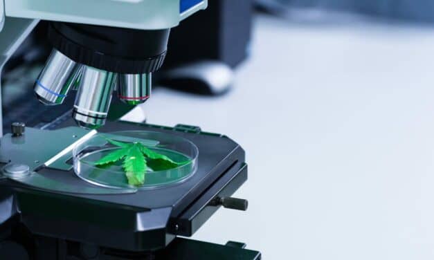 Incannex Taps Fortrea to Manage Phase 2/3 Trial for Sleep Apnea Drug Candidate