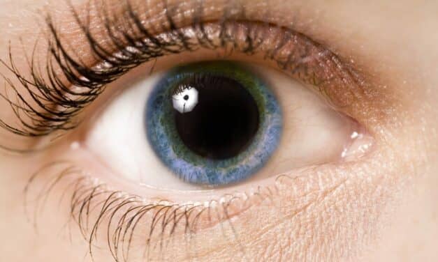 Pupil Size Provides Insight into Orexin Neuron Activity