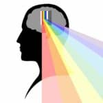 How Sleep Illuminates Neurodegenerative Disease Pathways, and Vice Versa