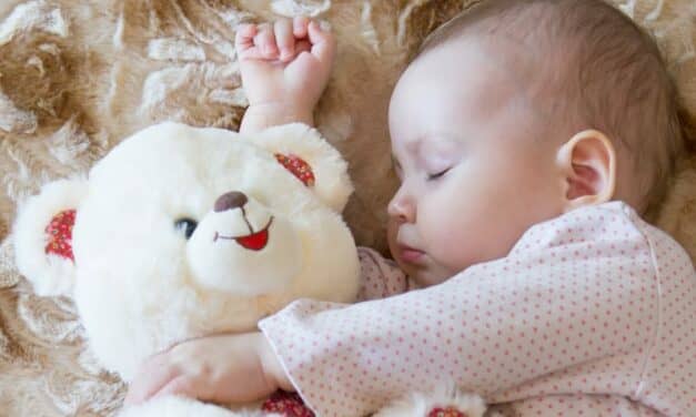 Cozy Images of Plush Toys and Blankets Counter Messaging on Safe Infant Sleep