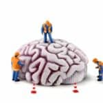 Sleep Deprivation Reduces Crucial Protein, Paving Way for Brain Harm