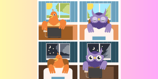 What’s Your Chronotype? Knowing Whether You’re a Night Owl or an Early Bird Could Help You Do Better on Tests and Avoid Scams