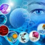 APSS Accepting Sleep Research Abstracts for SLEEP 2024 