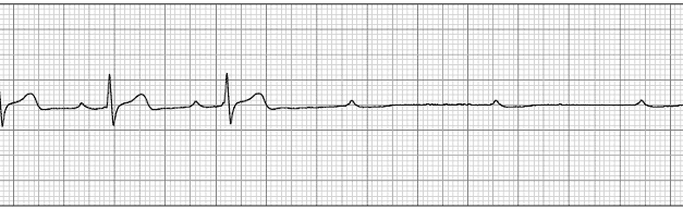 Innovator Bridges Gaps in Cardio-Sleep Health