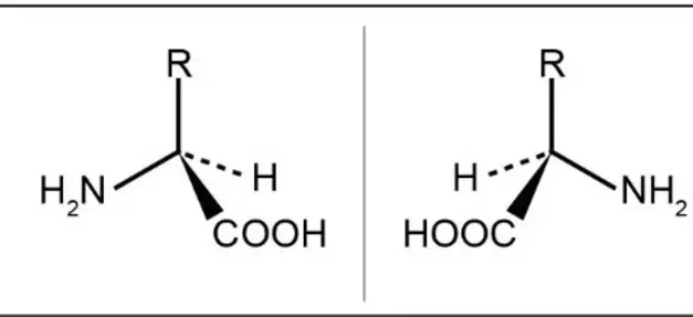 Rare Amino Acid Key to Regulating Sleep and Blood Sugar, Study Finds