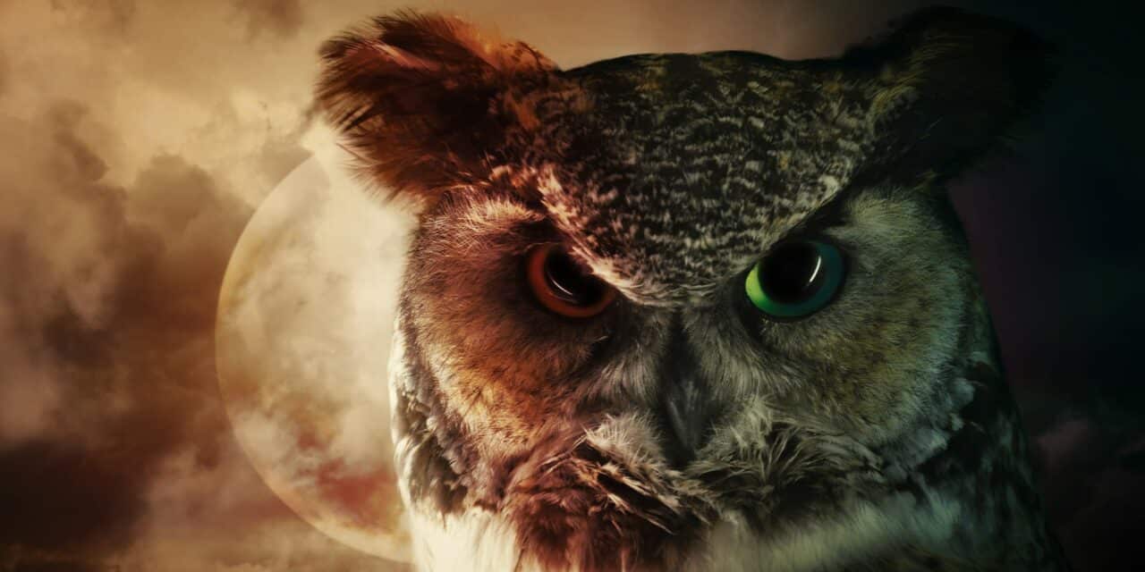 Night Owls Face Nearly Double the Risk of Artery Calcification