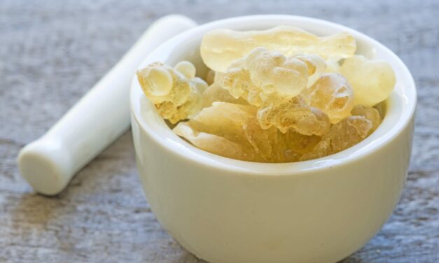 Botanical Blend Improves Restorative Sleep, Discomfort, and Mood 