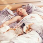 Partners, Pets, and Exes: Who’s Sharing Your Bed This Valentine’s Day?